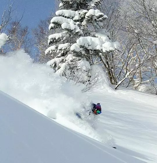 호텔 Appi Kogen Onsen