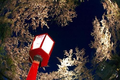 فندق Kunugidaira