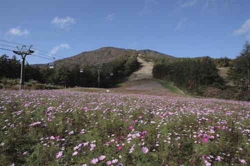 فندق Kunugidaira