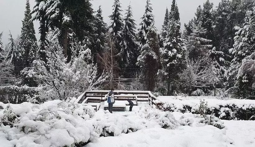 استراحتگاه Aldea Andina Hotel & Spa