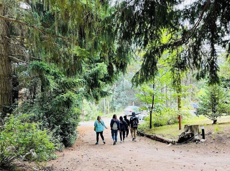 استراحتگاه Aldea Andina Hotel & Spa