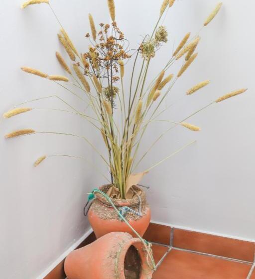 Hostal Patio Andaluz