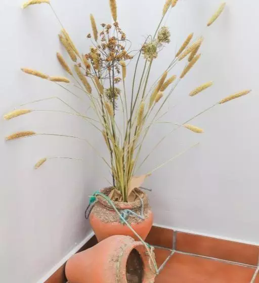 Hostal Patio Andaluz