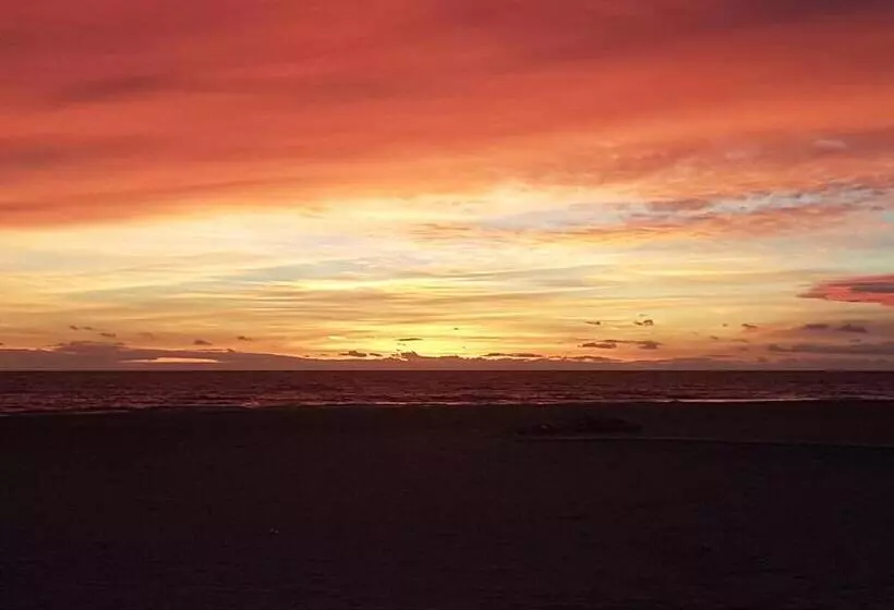 Hostal Patio Andaluz