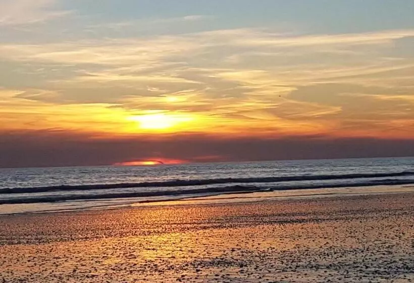 Hostal Patio Andaluz