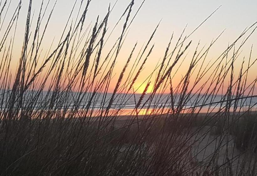 Hostal Patio Andaluz