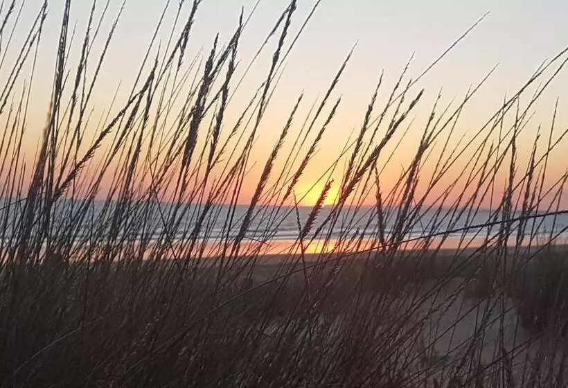 Hostal Patio Andaluz