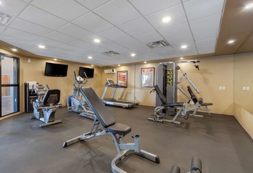 호텔 Best Western Plus Fox Creek