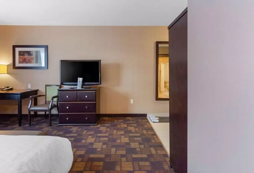 호텔 Best Western Plus Fox Creek