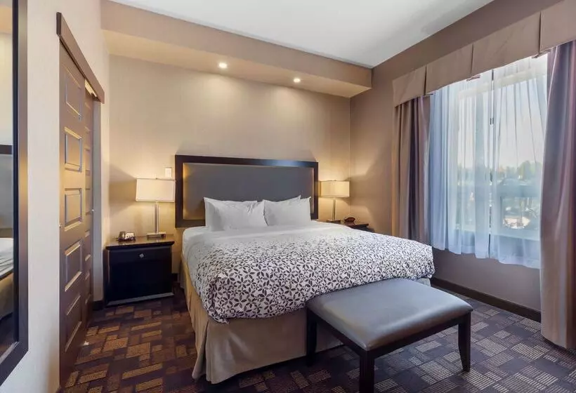 호텔 Best Western Plus Fox Creek