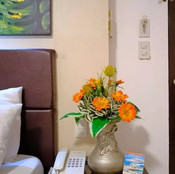 هتل Boracay Holiday Resort