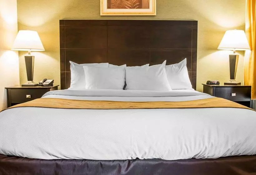 Отель Comfort Inn Whitehall Near Michigan S Adventure