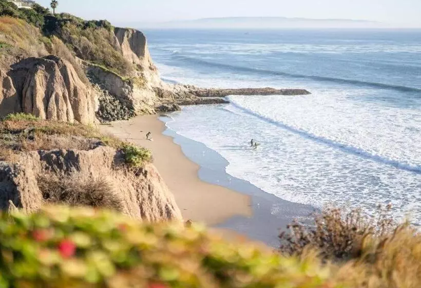 בית מלון כפרי Dolphin Bay Resort And Spa