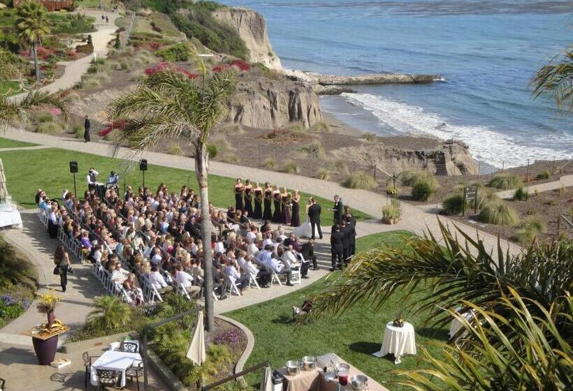 호텔 Dolphin Bay Resort And Spa