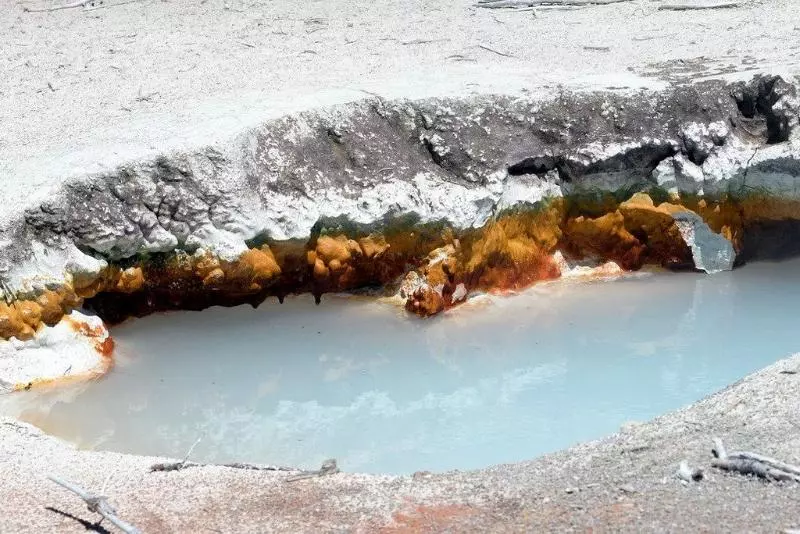 酒店 Grant Village Inside The Park