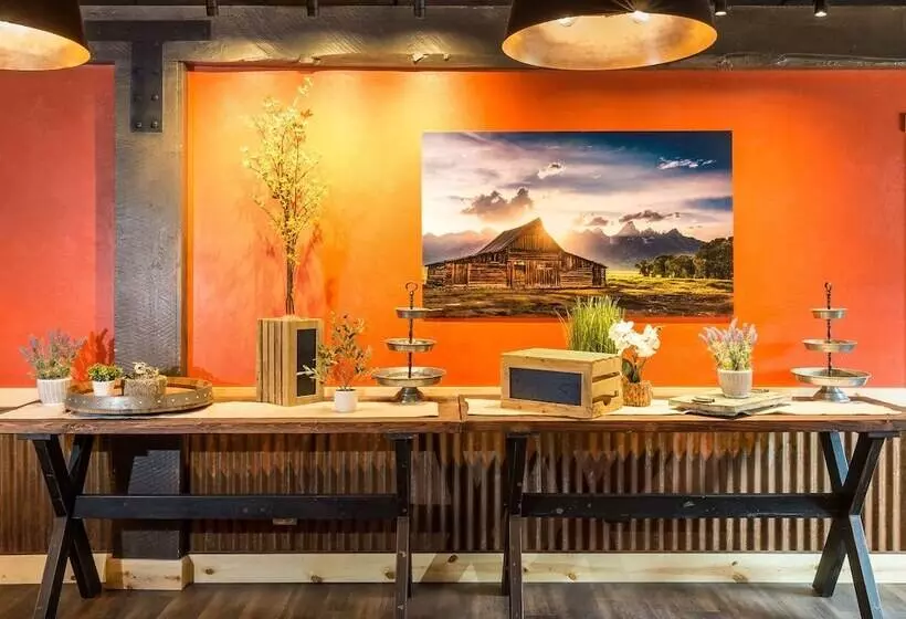 בית מלון כפרי Togwotee Mountain Lodge