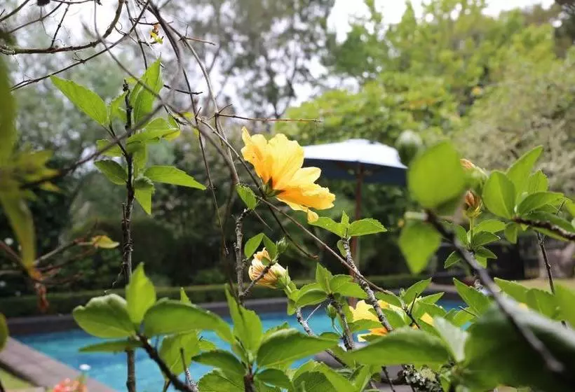 Thorold Country House