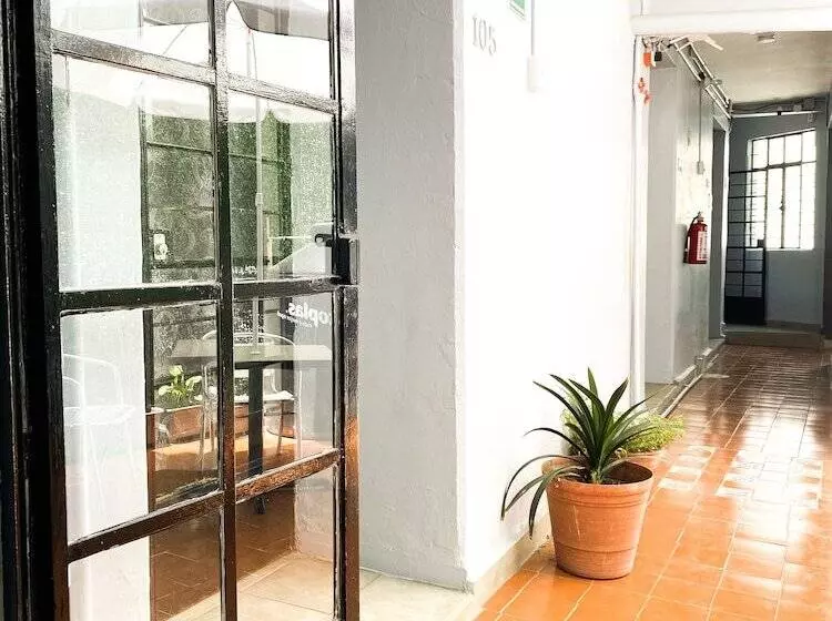 ユースホステル Amigo Suites