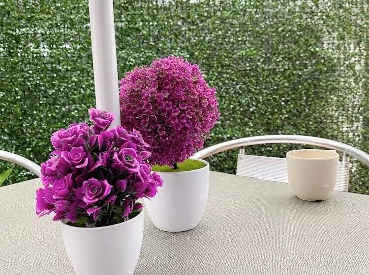 ユースホステル Amigo Suites