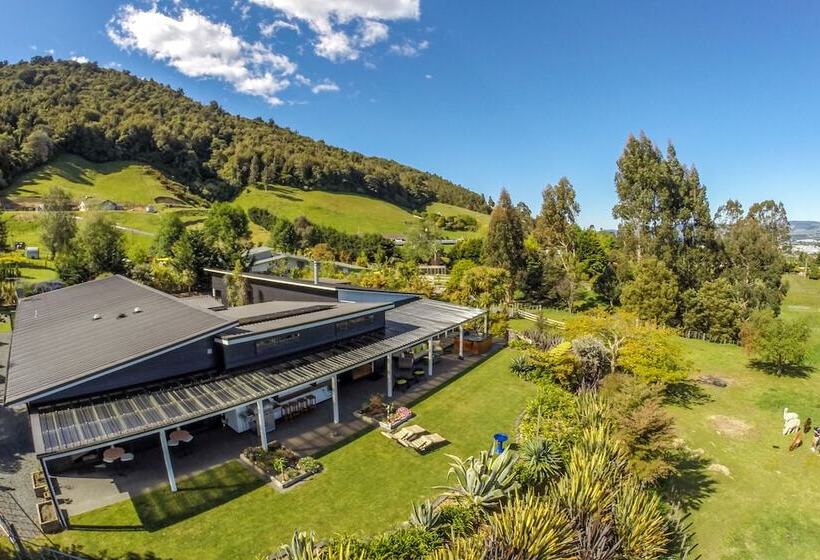 فندق City Lights Boutique Lodge