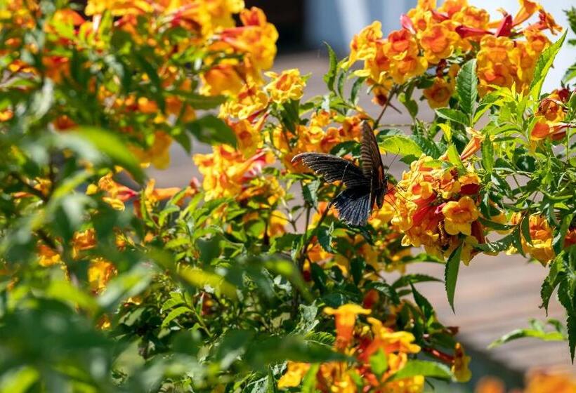 هتل Residence Bassac