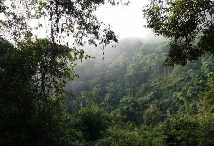 هتل Zen Namkhan Boutique Resort