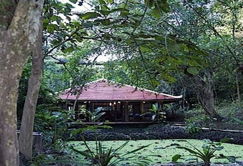 ホテル Zen Namkhan Boutique Resort