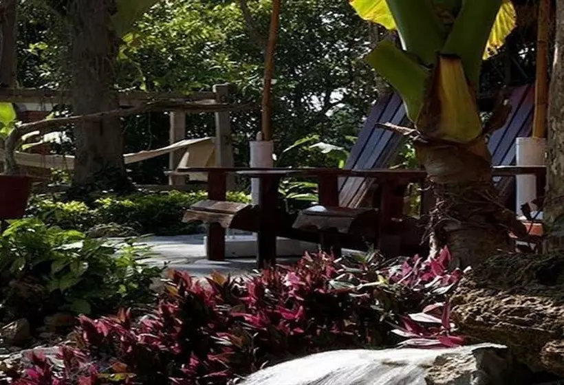 هتل Zen Namkhan Boutique Resort