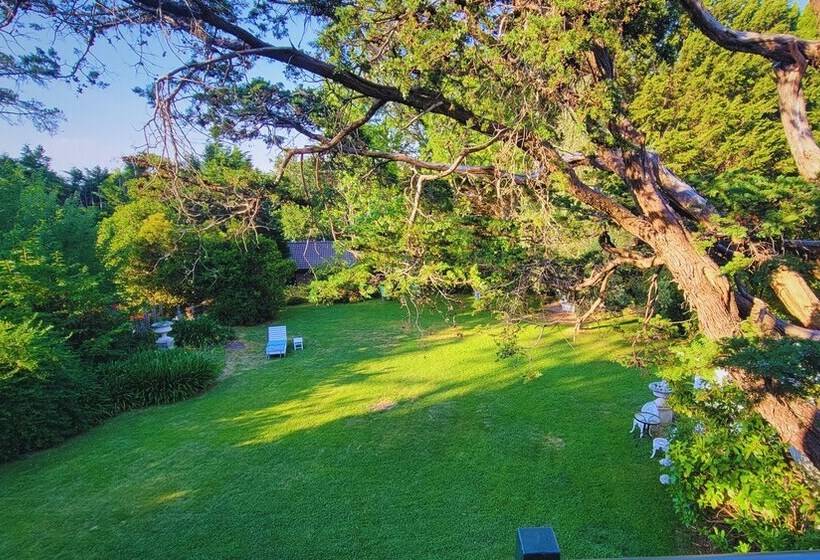 مبيت وإفطار Leura House