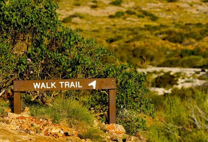 مبيت وإفطار Leura House