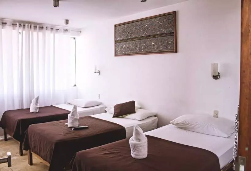 ホテル Amazon Apart