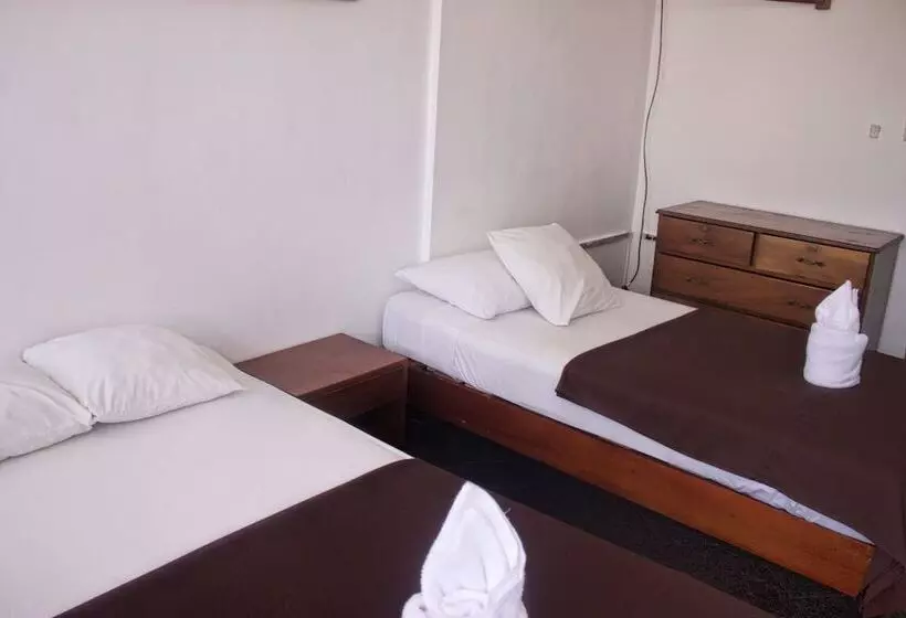 ホテル Amazon Apart