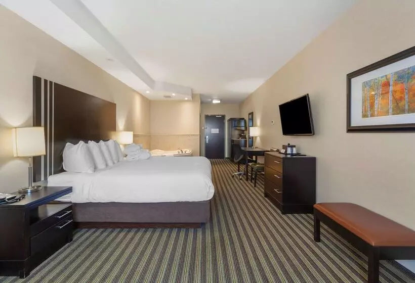 酒店 Best Western Plus Sherwood Park Inn & Suites