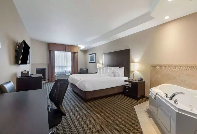 酒店 Best Western Plus Sherwood Park Inn & Suites