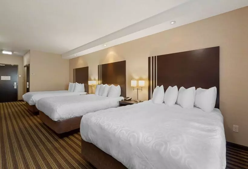 酒店 Best Western Plus Sherwood Park Inn & Suites
