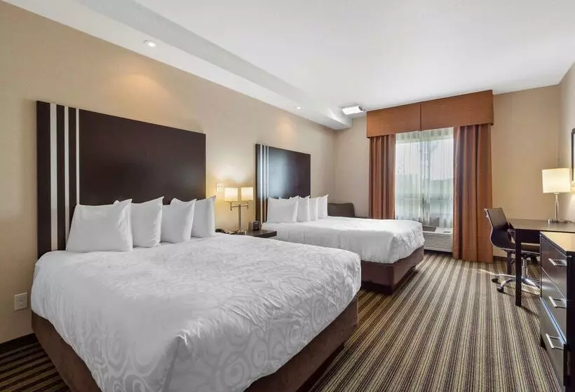 酒店 Best Western Plus Sherwood Park Inn & Suites