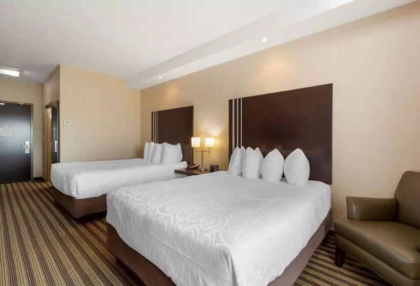 酒店 Best Western Plus Sherwood Park Inn & Suites
