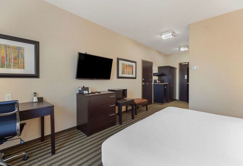 Hotel Best Western Plus Sherwood Park Inn & Suites