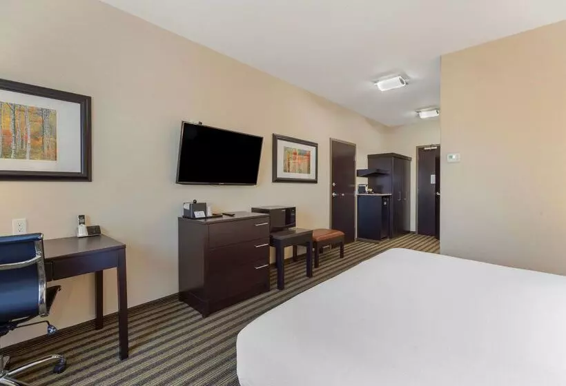 酒店 Best Western Plus Sherwood Park Inn & Suites