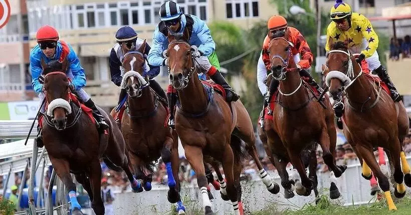 هتل Champ De Mars B&b