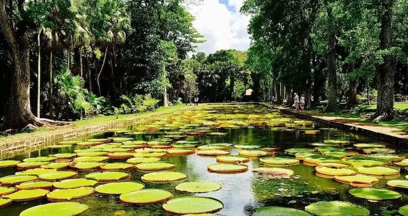 هتل Champ De Mars B&b