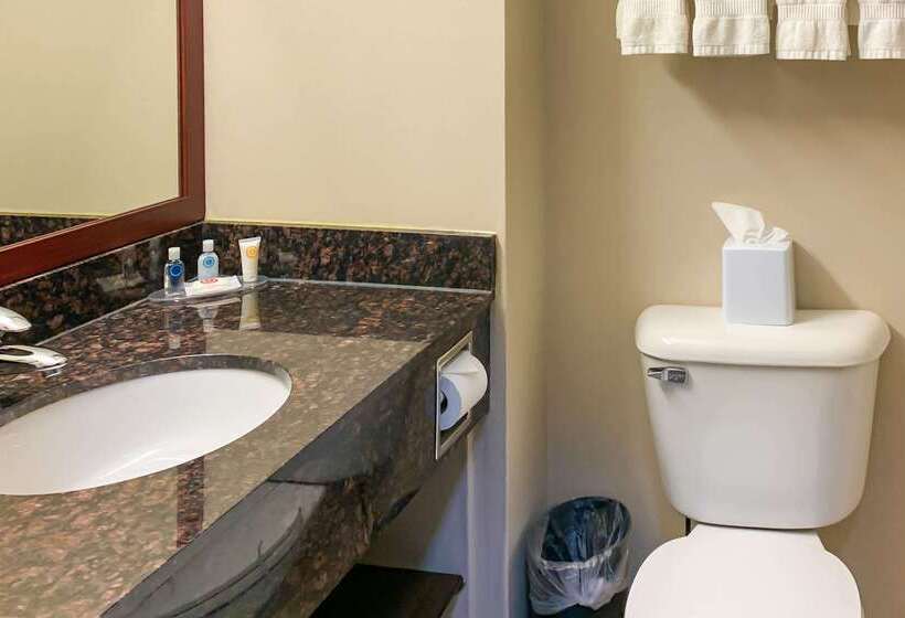 فندق Comfort Inn