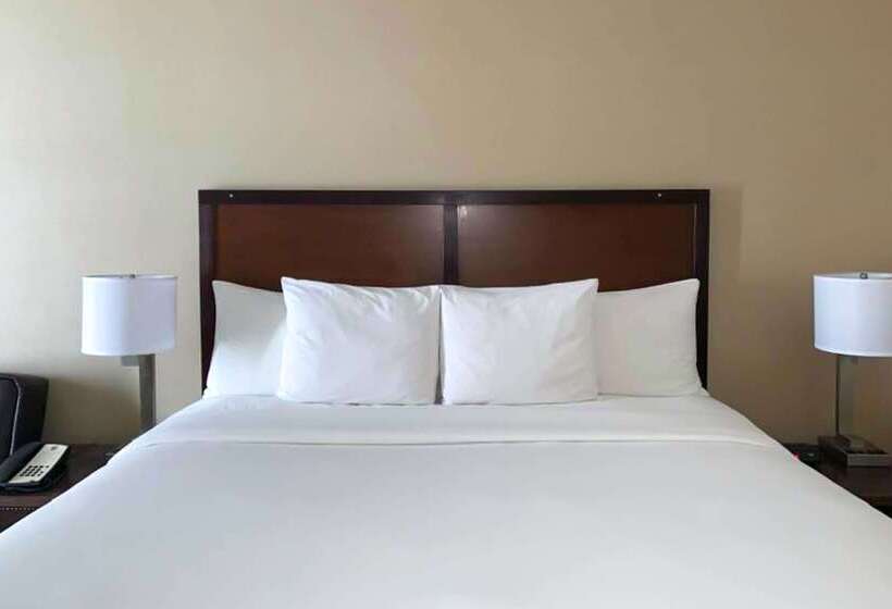 فندق Comfort Inn