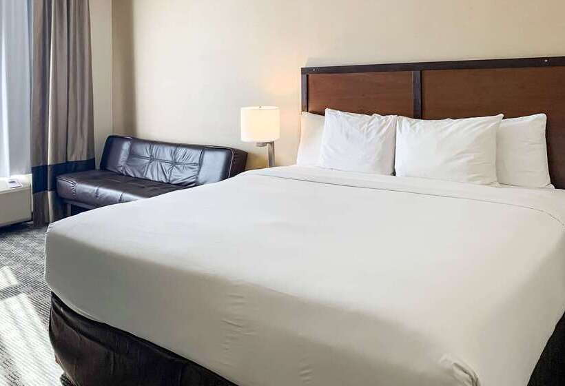 فندق Comfort Inn