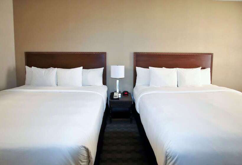 فندق Comfort Inn