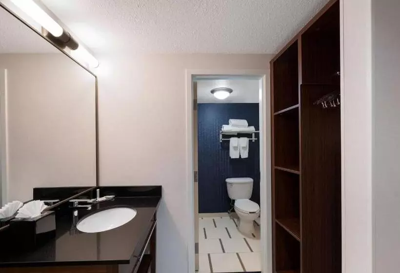 ホテル Fairfield Inn By Marriott Amesbury