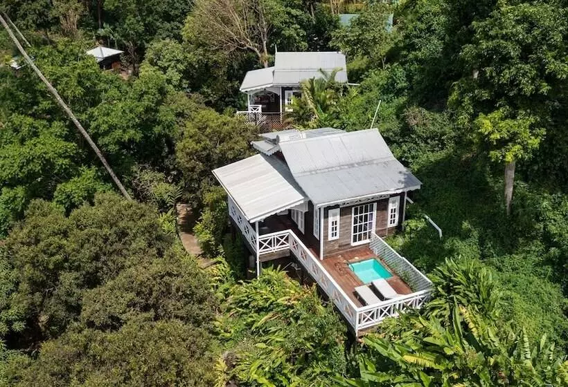 هتل Fond Doux Eco Resort