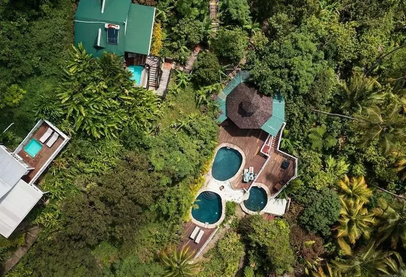 هتل Fond Doux Eco Resort