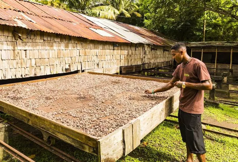 هتل Fond Doux Eco Resort