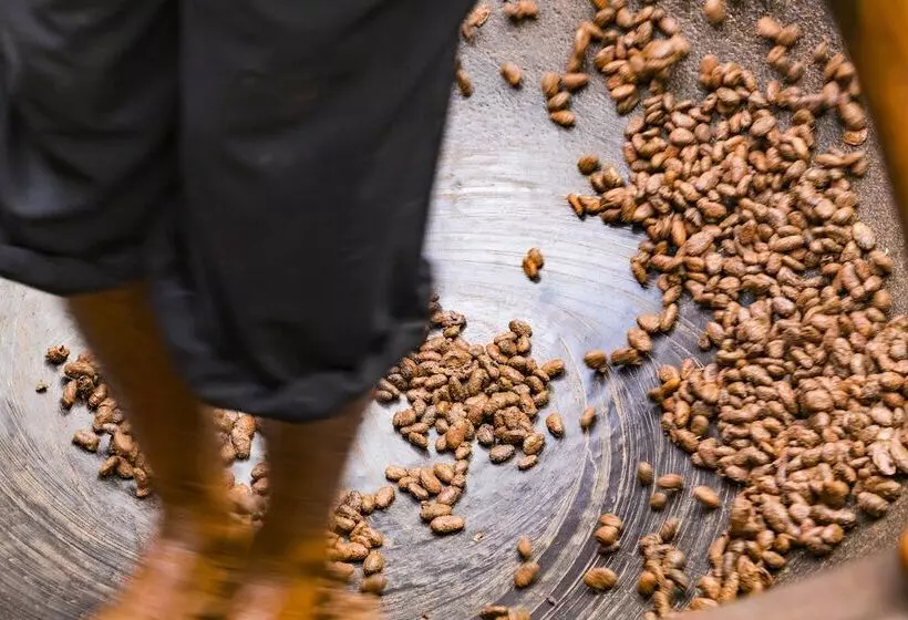 هتل Fond Doux Eco Resort